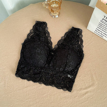 High-quality Lace V-shaped Beautiful Back Women's Bra with Pads