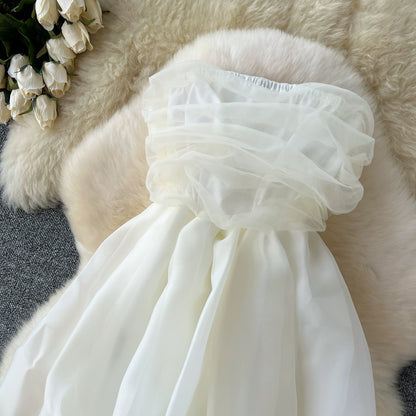 Elegant Sleeveless Bandeau Dress with Off-the-Shoulder Pleated Design and Cinched Waist